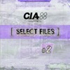 Select Files 2