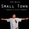 Small Town (feat. Demrick & Taylor Thompson) - Slo White lyrics