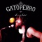 Beber - Gatoperro lyrics