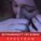 Spectrum (feat. Cryaotic & Minx) - Boyinaband lyrics