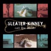 I Wanna Be Your Joey Ramone by Sleater-Kinney