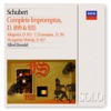 Schubert: Complete Impromptus D.899 & D.935 and Others