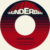 Charles Shefield - It's Your Voodoo Working