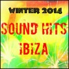 Sound Hits Ibiza Winter 2014 (30 Essential Top Hits EDM for DJ)