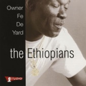 The Ethiopians - Owner Fe De Yard