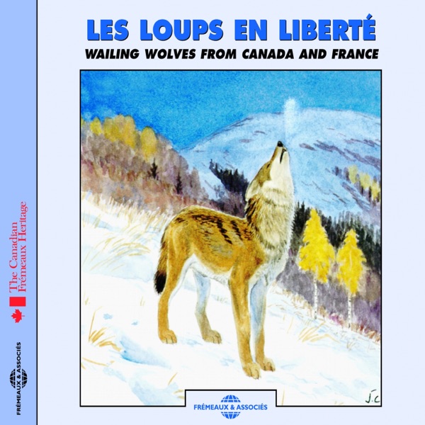 Loups en liberté au Canada: Une petite troupe dans une forêt mixte (Wild wolves in Canada: A small pack in a mixed forest)