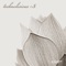 Law of Attraction (Rini Shkembi Remix) - Sydney lyrics