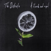 The Districts - 4th and Roebling