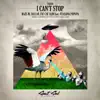 I Can't Stop (feat. Veselina Popova) - EP album lyrics, reviews, download