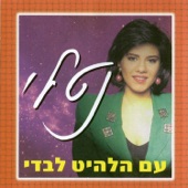 לבדי artwork