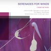 Etienne Siebens - Serenade for Wind Instruments, Op. 44: I. Moderato, quasi marcia