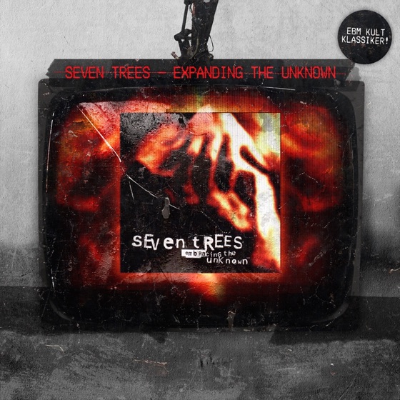 Cover artwork for Desire Slowly Bursting