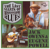 The Last Giants of Mississippi Blues - Verschiedene Interpreten