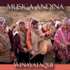Música Andina - Winayataqui