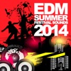 EDM Summer Festival Sounds 2014, 2014