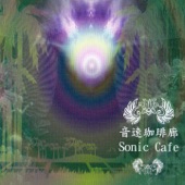 Sonic Café - A Water Spider