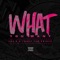 What You Want (feat. Tonez the Prince) - Jae E lyrics