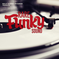 Various Artists - Rare Funky Sound artwork