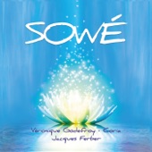 Sowé artwork