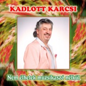 Nem Élhetek Muzsikaszó Nélkül artwork