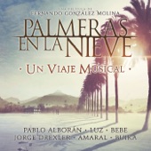 Palmeras en la nieve - Un Viaje Musical artwork