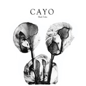 Cayo artwork