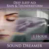 Rain & Thunderstorm (Deep Sleep Aid) [For Tinnitus, Insomnia, De-Stress, Massage, Meditation, Holistic Healing, Relaxation] [1 Hour] album lyrics, reviews, download