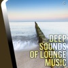 Deep Sounds of Lounge Music, 2014