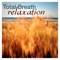 Calmness - Spa Music Collective lyrics
