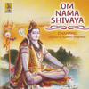 Om Nama Shivaya - Gowri Shankar