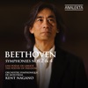 Orchestre Symphonique De Montreal & Charles Dutoit - Symphony No. 2 in D Major, Op. 36: II. Larghetto
