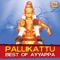 Pallikattu - Parupalli Ranganath lyrics