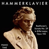Piano Sonata No. 29 in B-Flat Major, Op. 106 "Hammerklavier": I. Allegro artwork