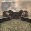 Dreaming in Stereo