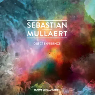 Direct experience - EP by Sebastian Mullaert album reviews, ratings, credits