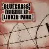 Bluegrass Tribute To Linkin Park album lyrics, reviews, download