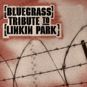 Bluegrass Tribute To Linkin Park - Pickin' On Series