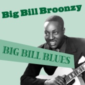 Big Bill Broonzy - Black Brown and White
