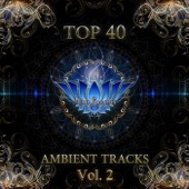 Top 40 Ambient Tracks, Vol. 2 artwork