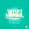 What I Feel (feat. Sharon May Linn) [Remixes] - EP album lyrics, reviews, download