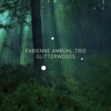 Fabienne Ambühl Trio - No Memories