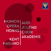Brahms, Schumann, Schubert, Strawinsky, Wagner, Strauss: Music for Horn Ensemble and Choir