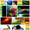Reggae Tropica