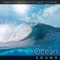 Ocean Sound artwork