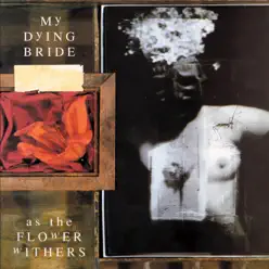 As the Flowers Withers - My Dying Bride