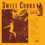 Sweet Cobra - Future Ghosts
