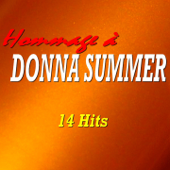 Hommage à Donna Summer (14 Hits) - Multi-interprètes