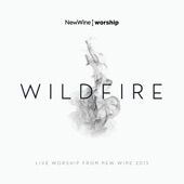 Wildfire (feat. Sam Bailey) [Live] artwork