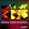 Best of 2015 : Electro House Music Collection