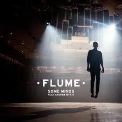 Some Minds (feat. Andrew Wyatt) - Single - Flume